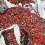 HDPE Blow Grade red